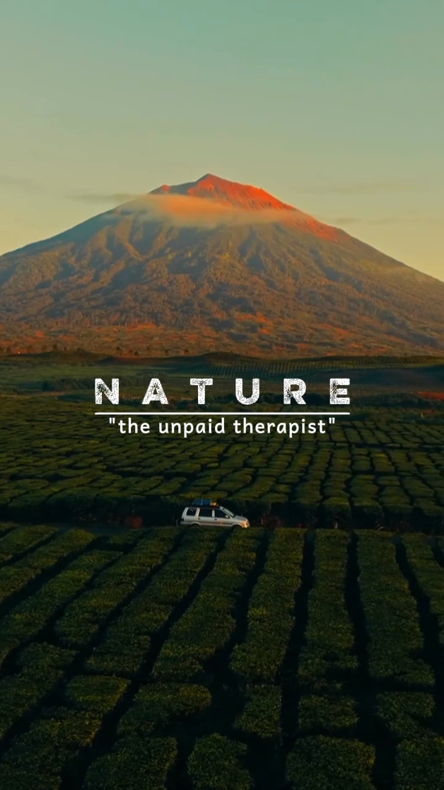 Naturtherapeutin