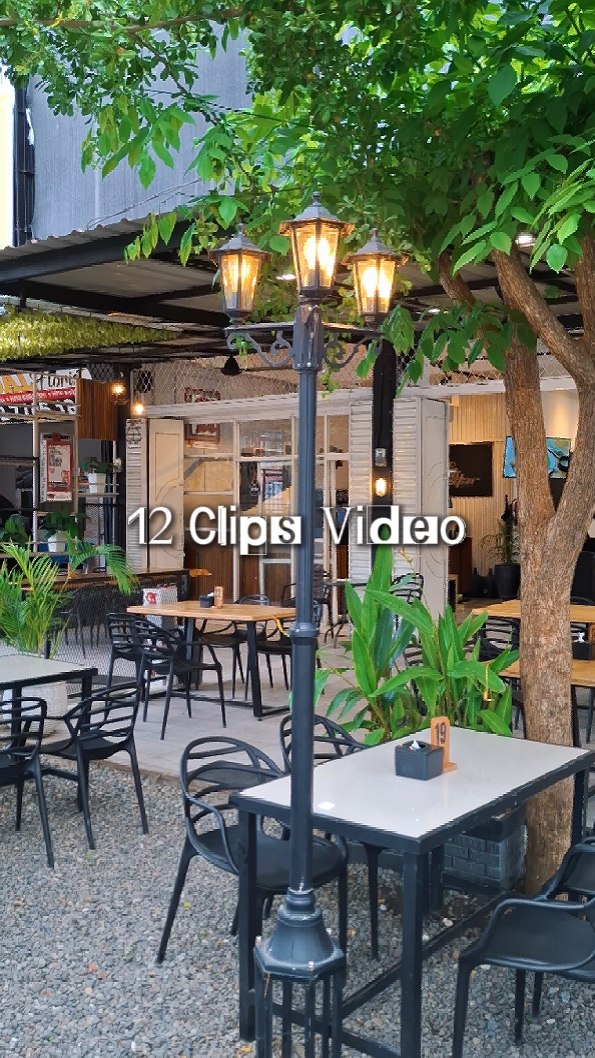 12 clips Video