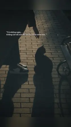 1 ảnh caption