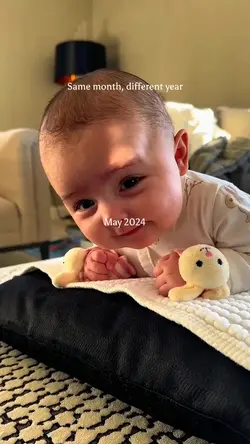 Time Flies 