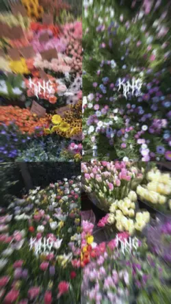 เจ้าฮูบงามว่าละชื่อ