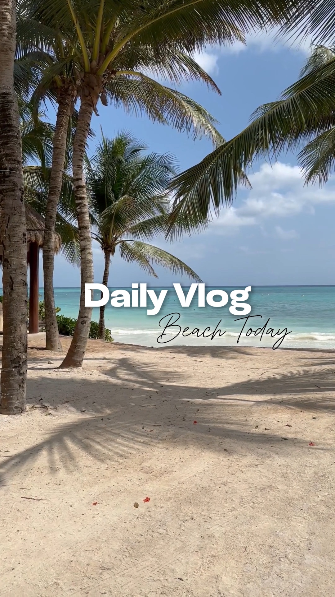 Daily Vlog