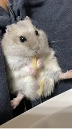 氛圍感慢動作😋