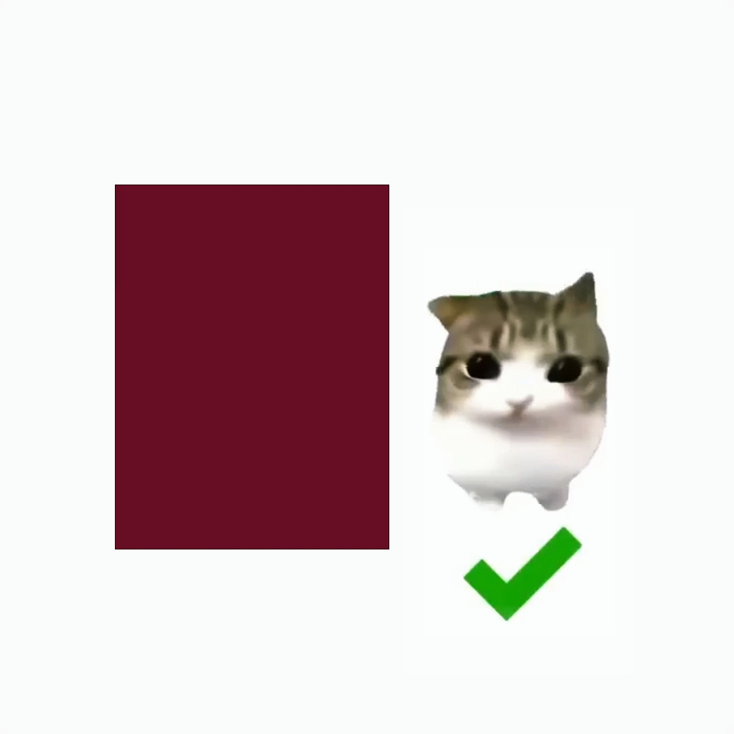 Presa Presa Di Di Gato