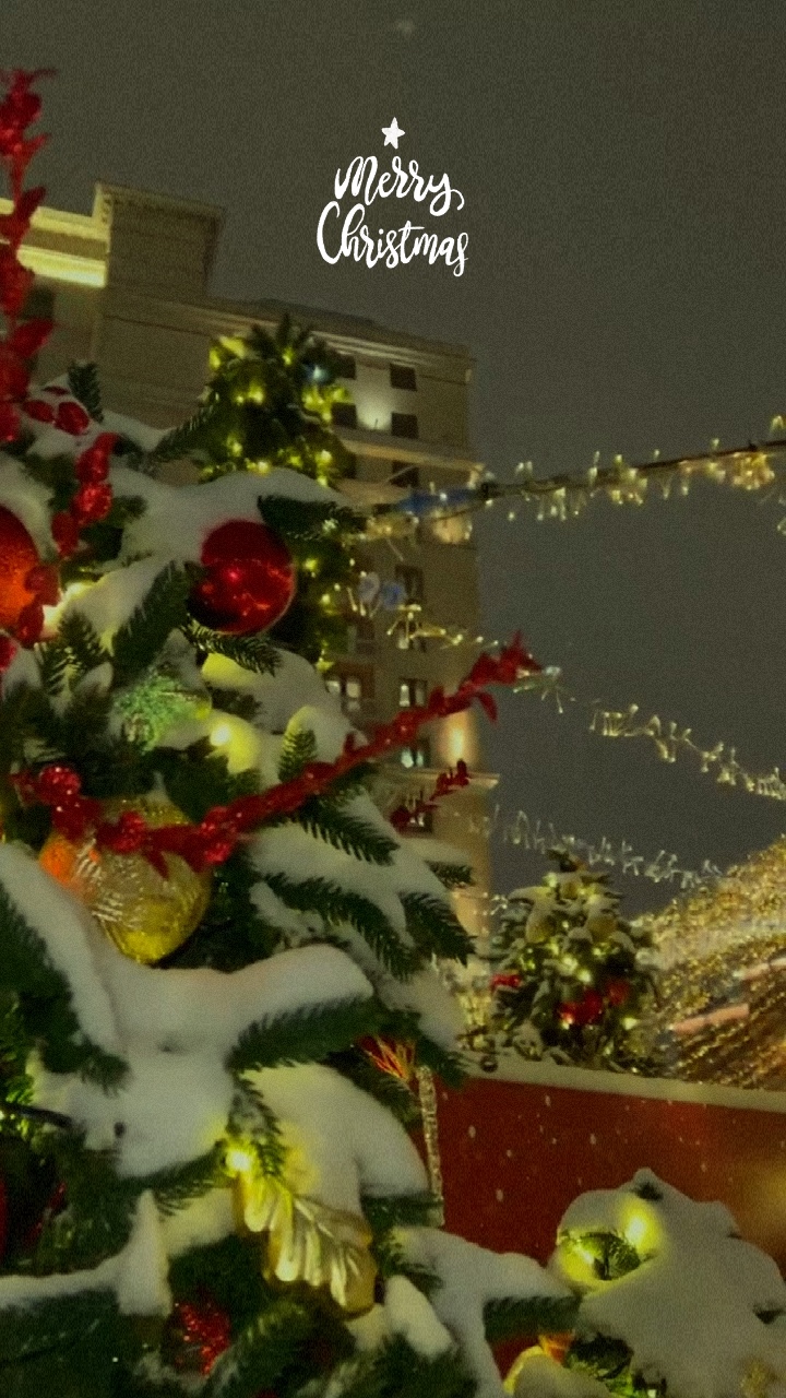 10 ảnh / video noel🎄