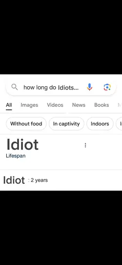 Idiot! 