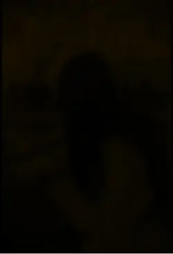 Nam trà mi remix