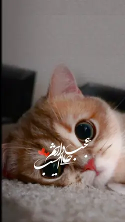 تولد