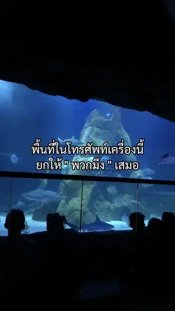 พื้นที่ในโทรศัพท์เครื่องนี้