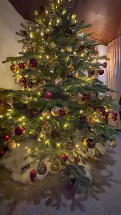 Christmas and New Ye