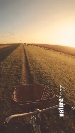 Nature Therapy❤️