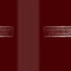 Fast Hard Life Force