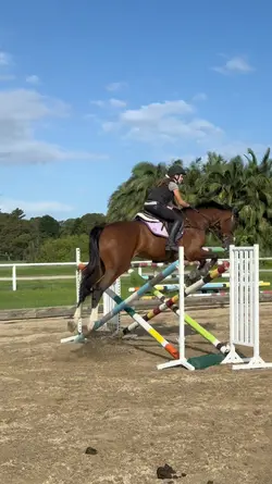 what a horse 😍