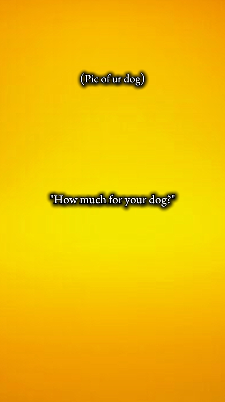 Hund