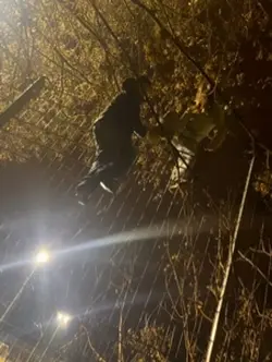 1️⃣6️⃣1️⃣