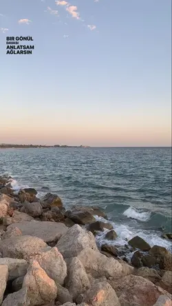 yeni şablon