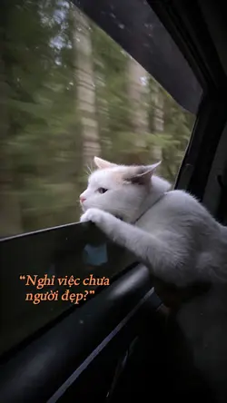 nghỉ việc chưa