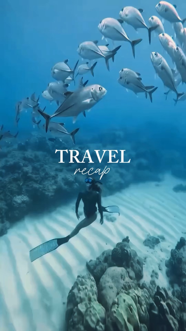 Travel recap