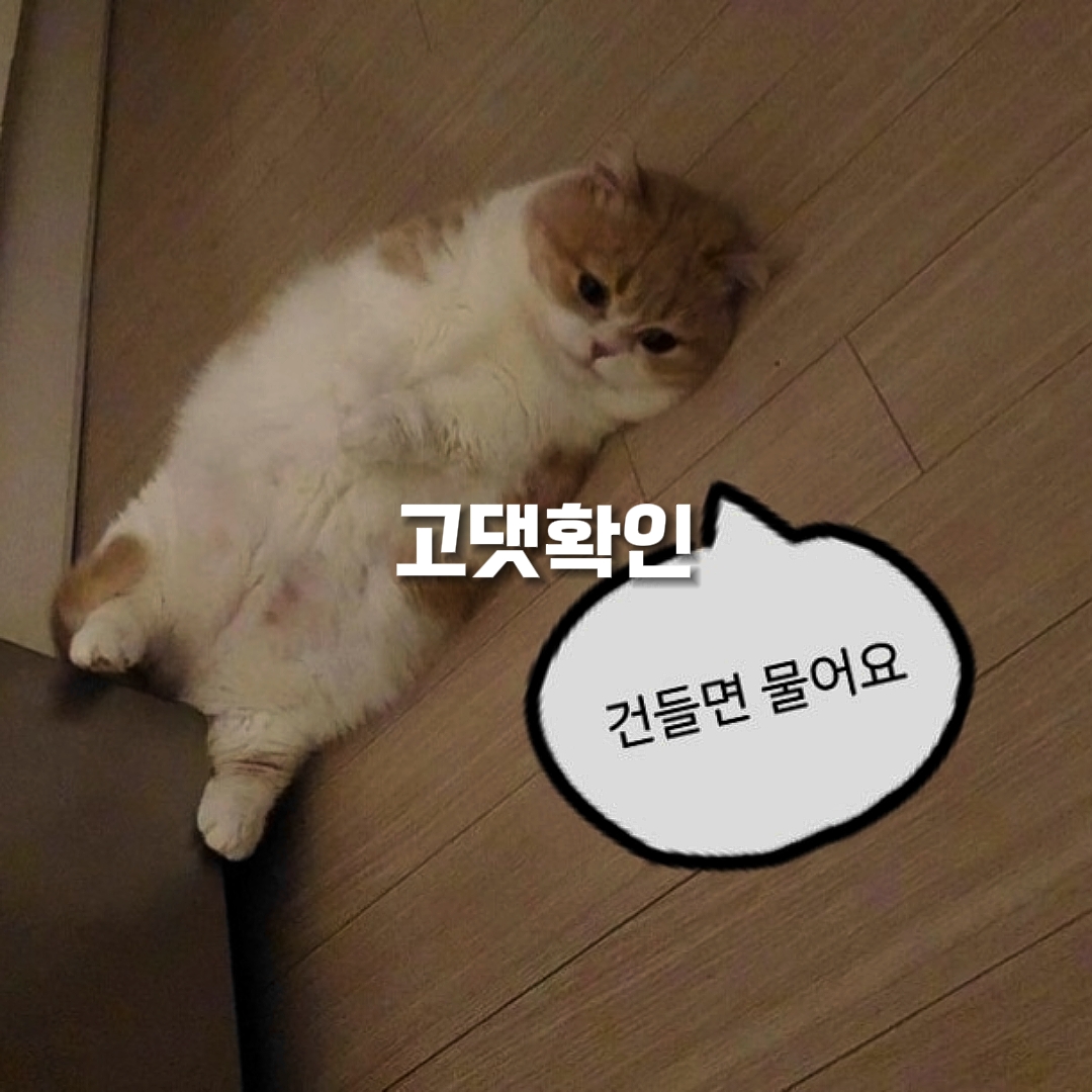 소중한 사람이 울고 있어 | 고댓