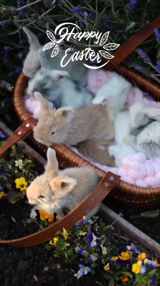 Frohe Ostern