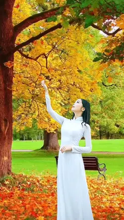 Mùa thu lá bay 🍁 