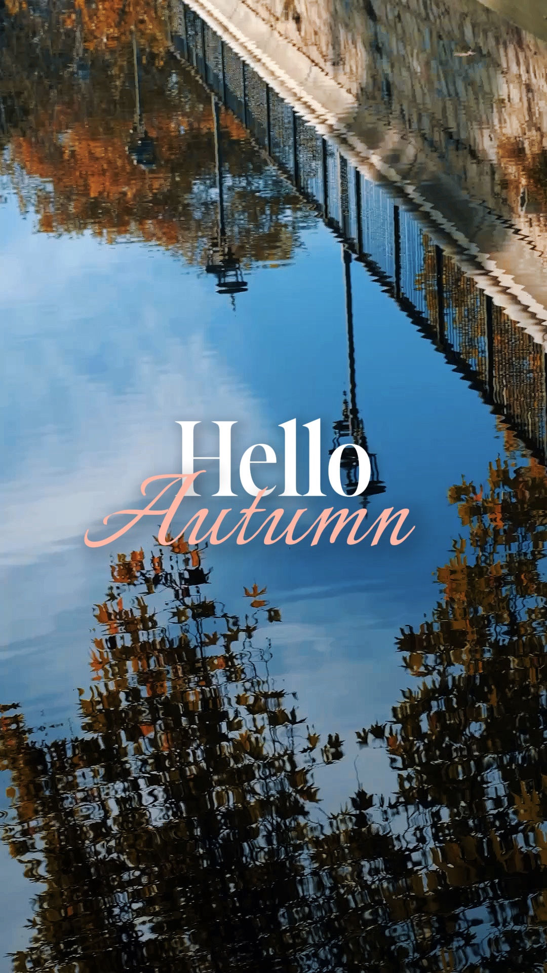 Bonjour l'automne 