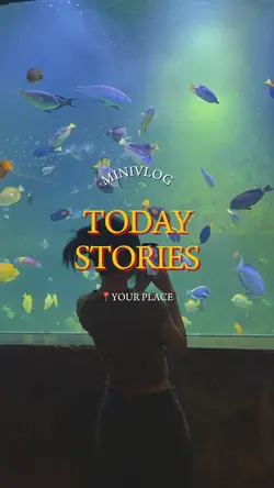 today stories vlog