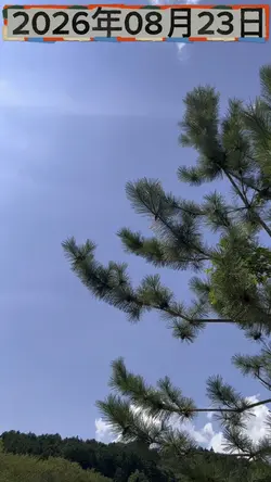 今日の天気