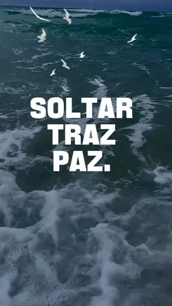 Reflexão, Paz... 