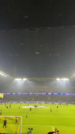 beste Männer der BVB