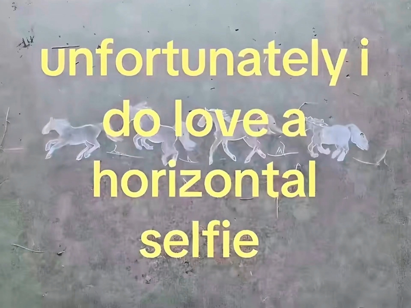 Selfie horizontal