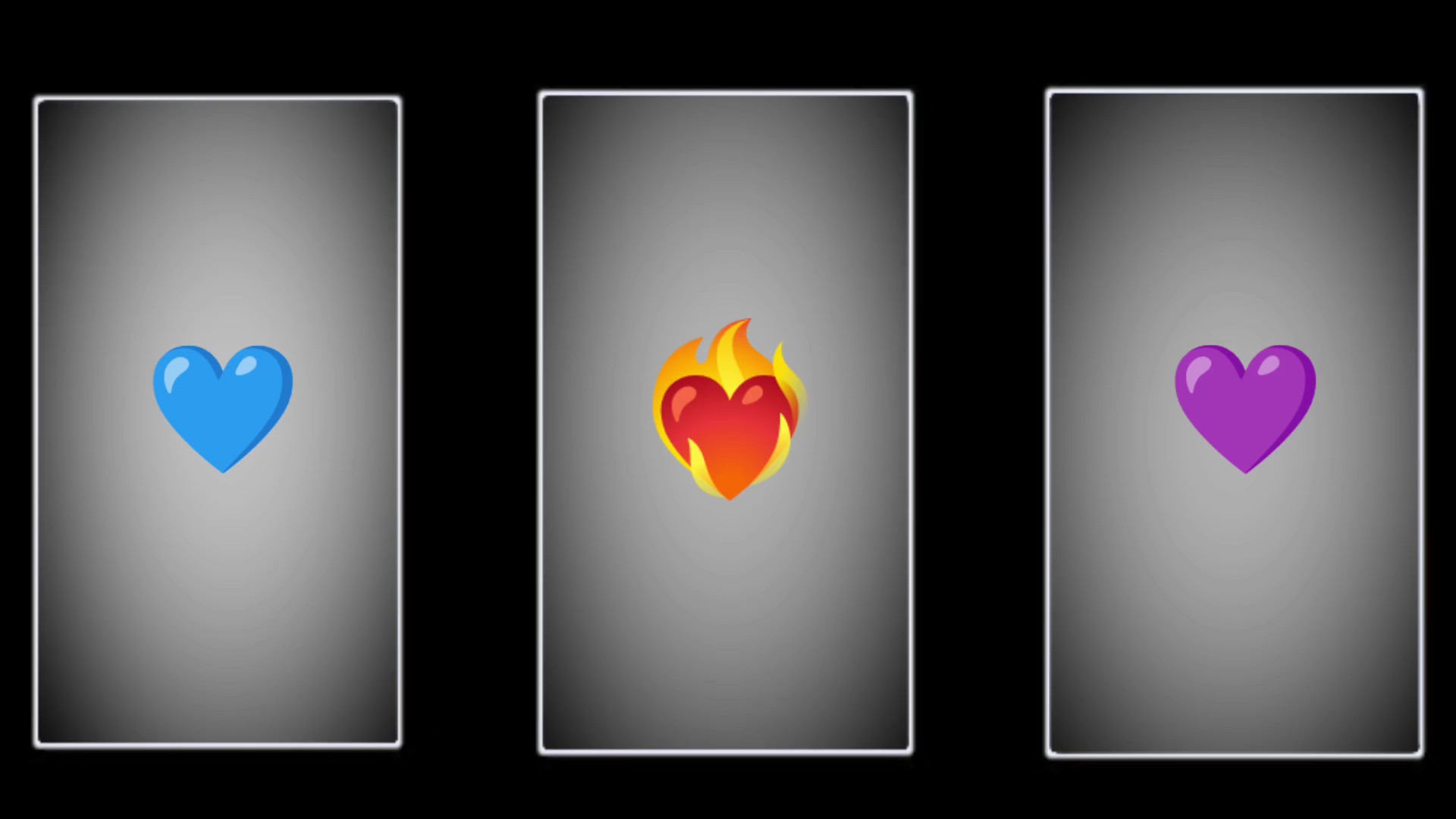 3 Bilder 