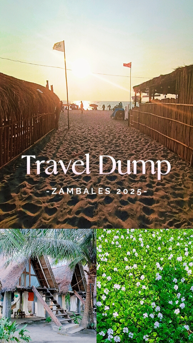 Despejo de Viagem 2025