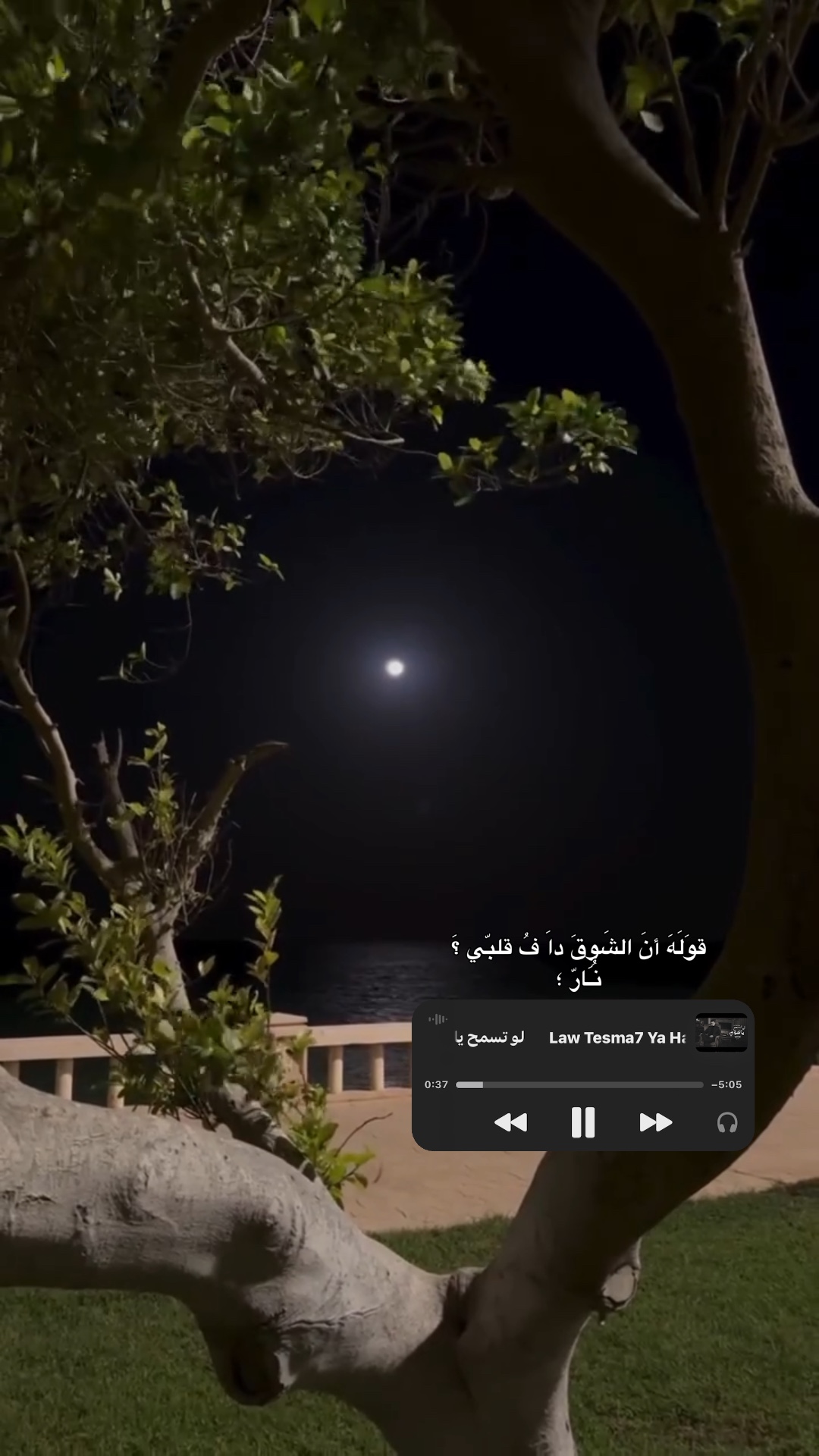تسمح ياهوي - ترند🤎