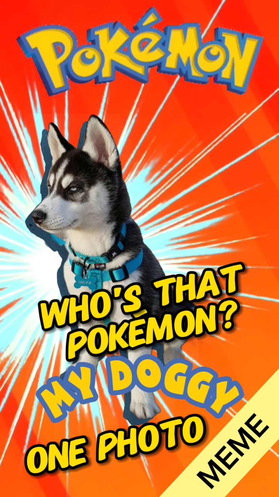 Who's that Pokémon?
