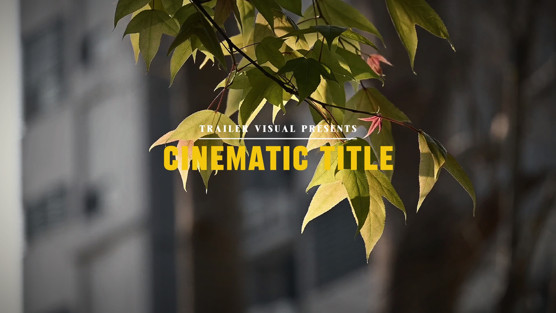 BANDE-ANNONCE VISUELLE