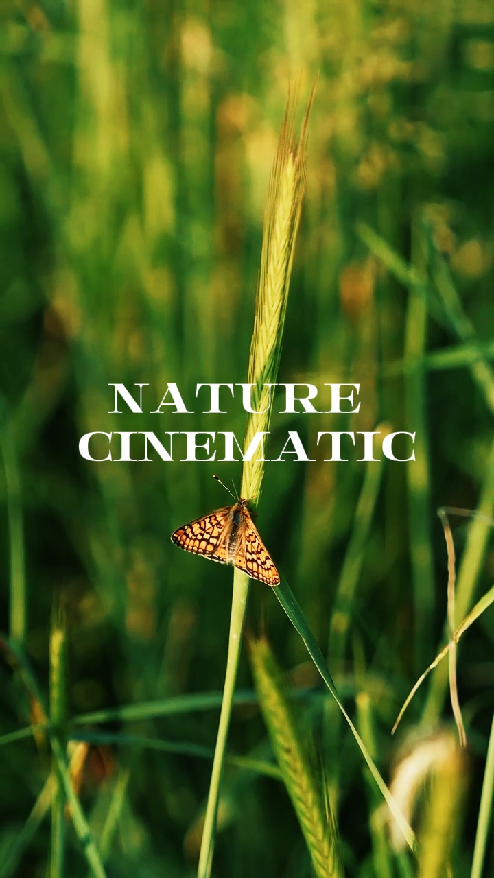 Nature Cinematic