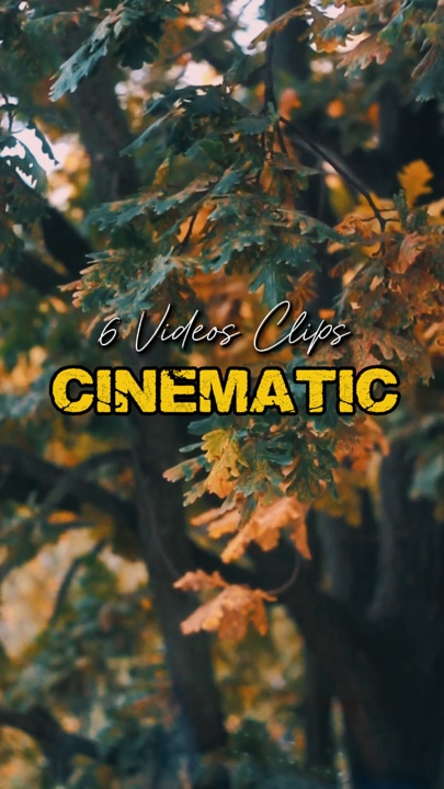 Cinematic 6 Videos 