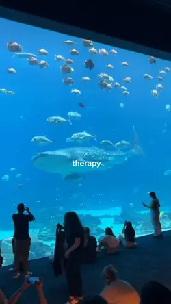 therapy 