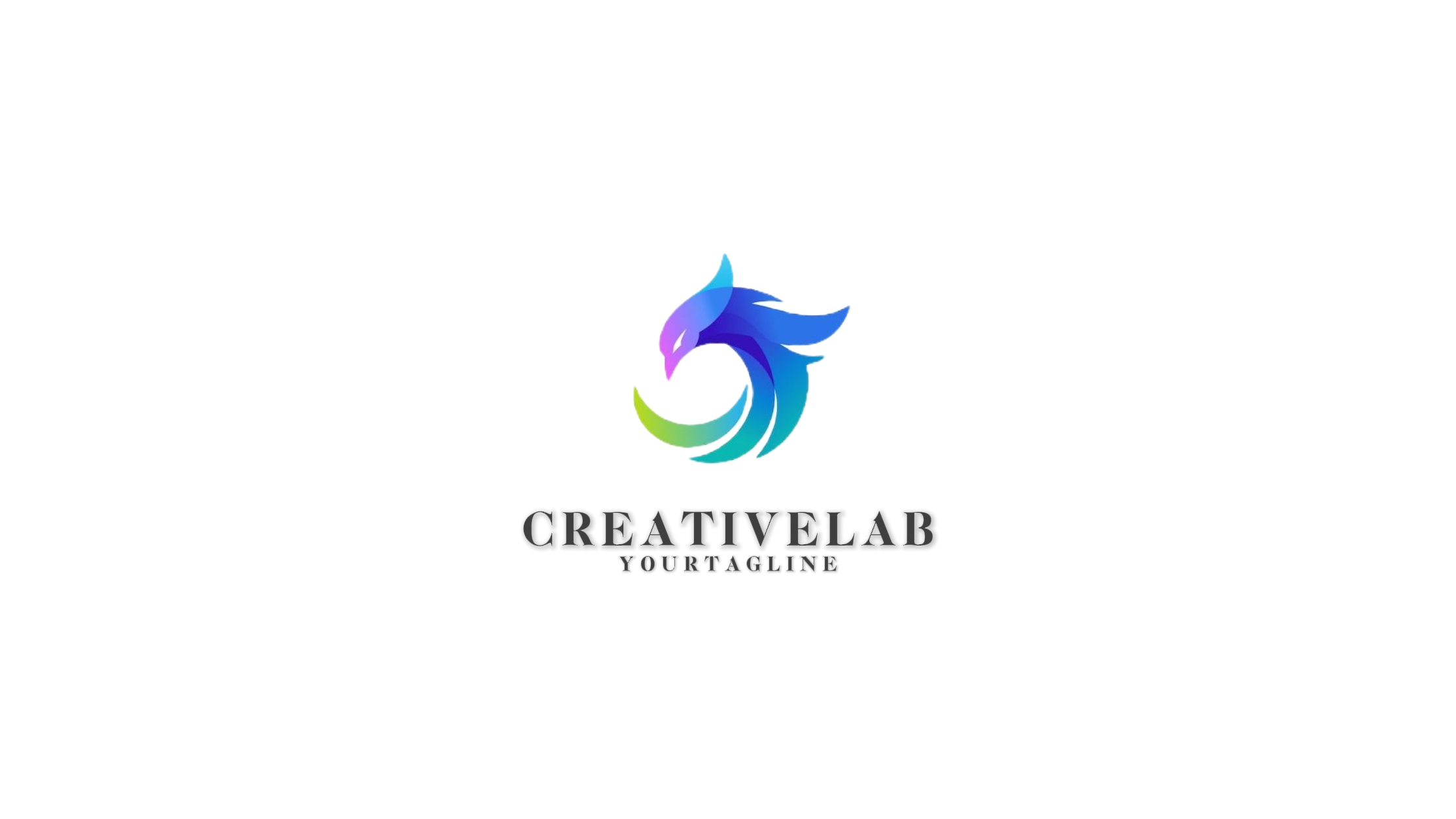 Elegant logo intro