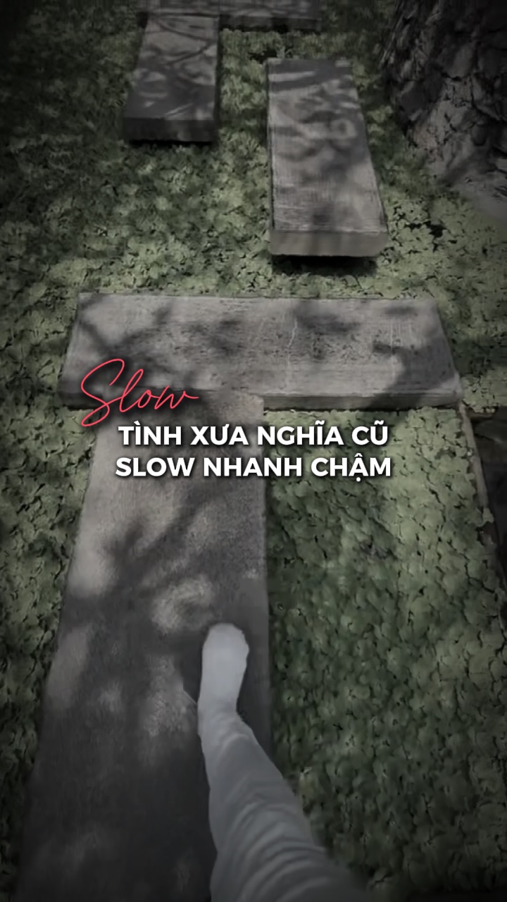 Slow nhanh chậm