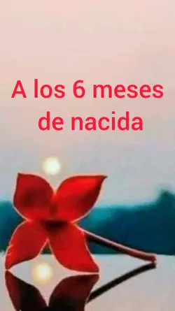 agosto 13-2025