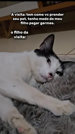 donos de pets