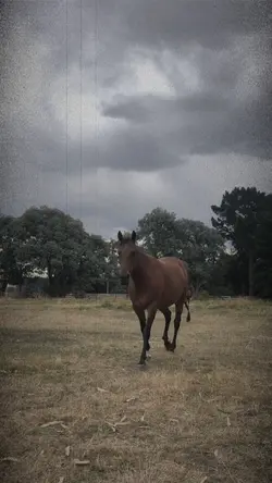 Like Candy. 2 clips