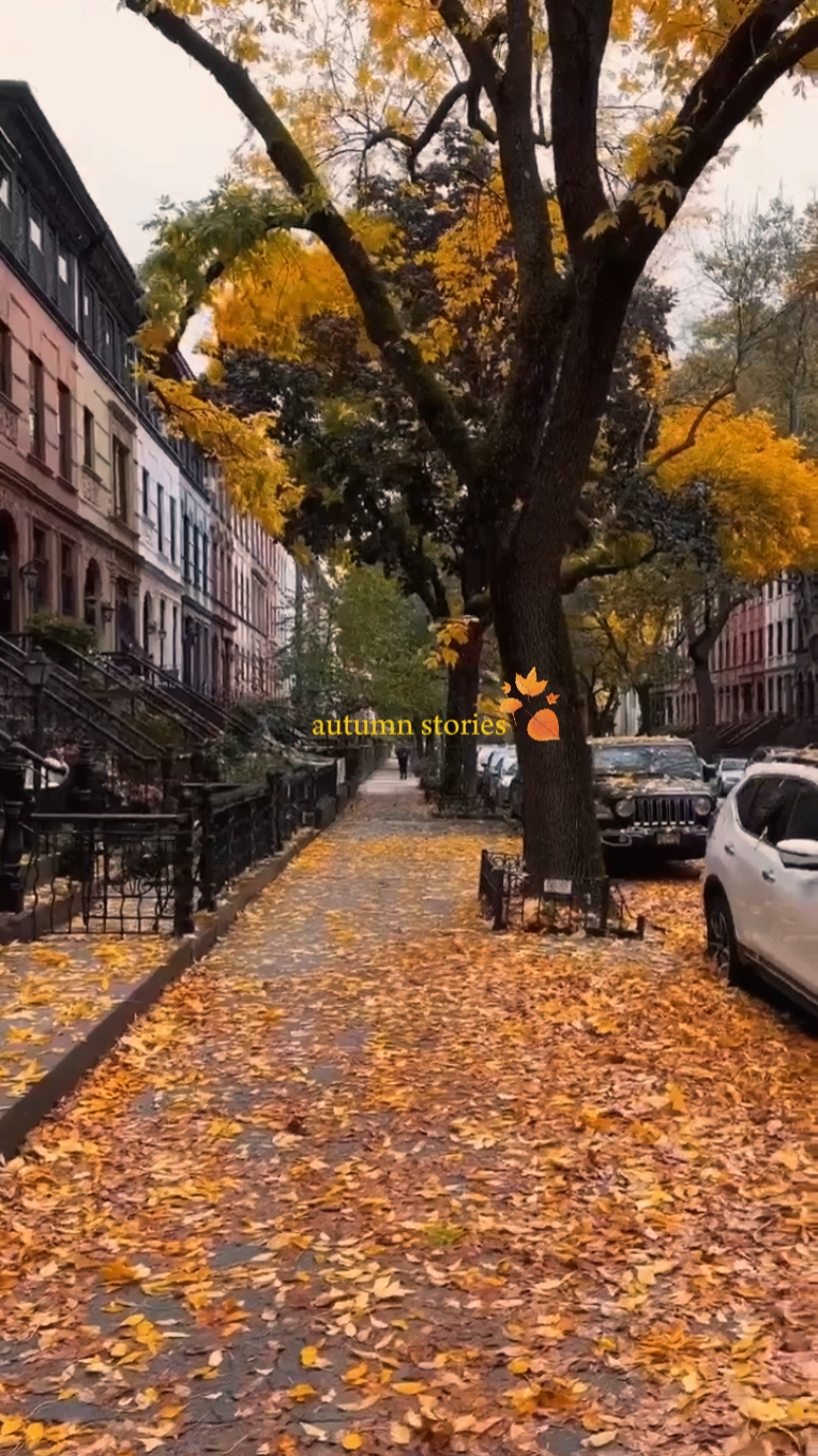 autumn vlog