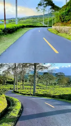 road trip kolase