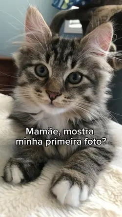 Primeira Foto
