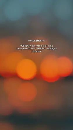 yeni Şablon 