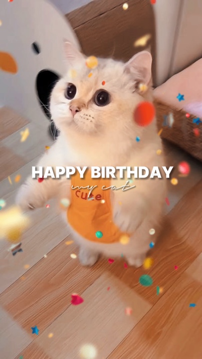 HPBD MEINE KATZE