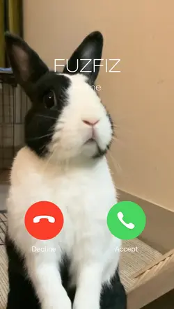 โทรเข้า